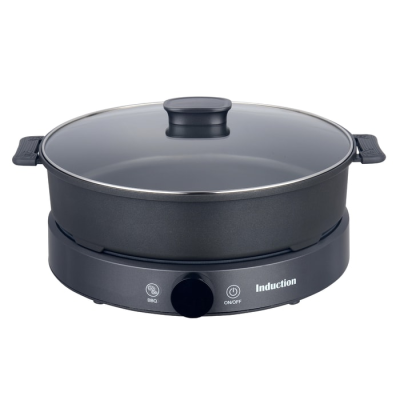 Sautage set + grilling surface + single induction hob Electra FYM20-N103 - warranty by the official importer